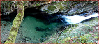 Dans les gorges de la Nive d'Arnéguy